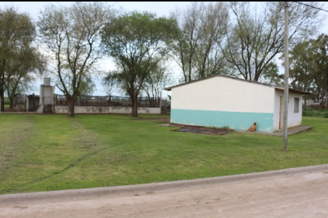 Screenshot_20250924-070534_WhatsApp