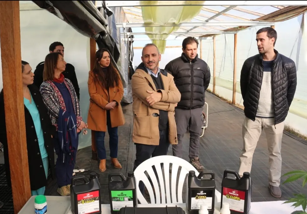 Screenshot_20240629-072650_WhatsApp