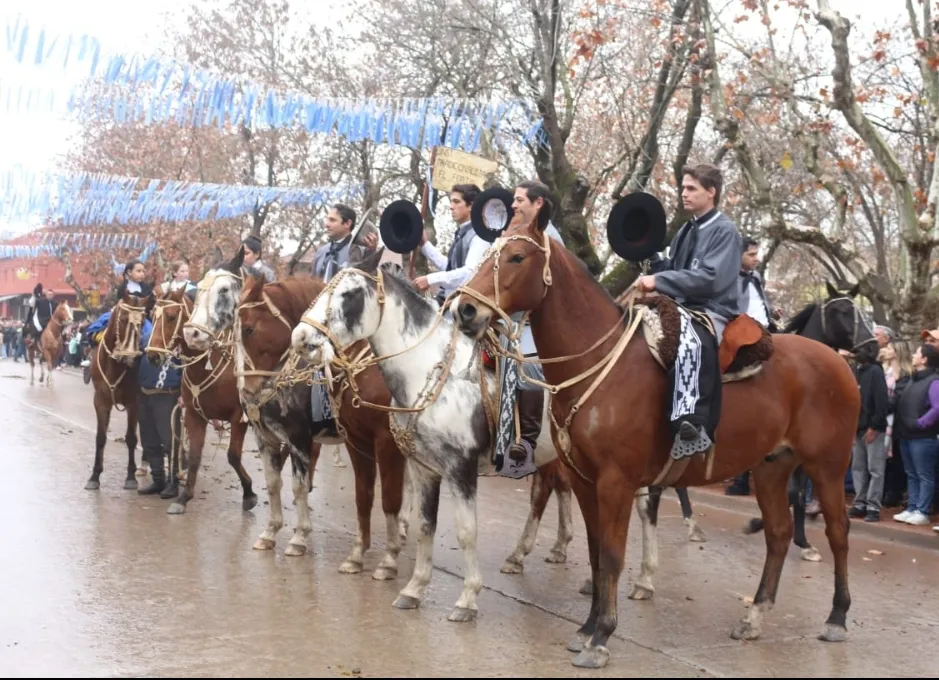 Screenshot_20250714-064752_WhatsApp