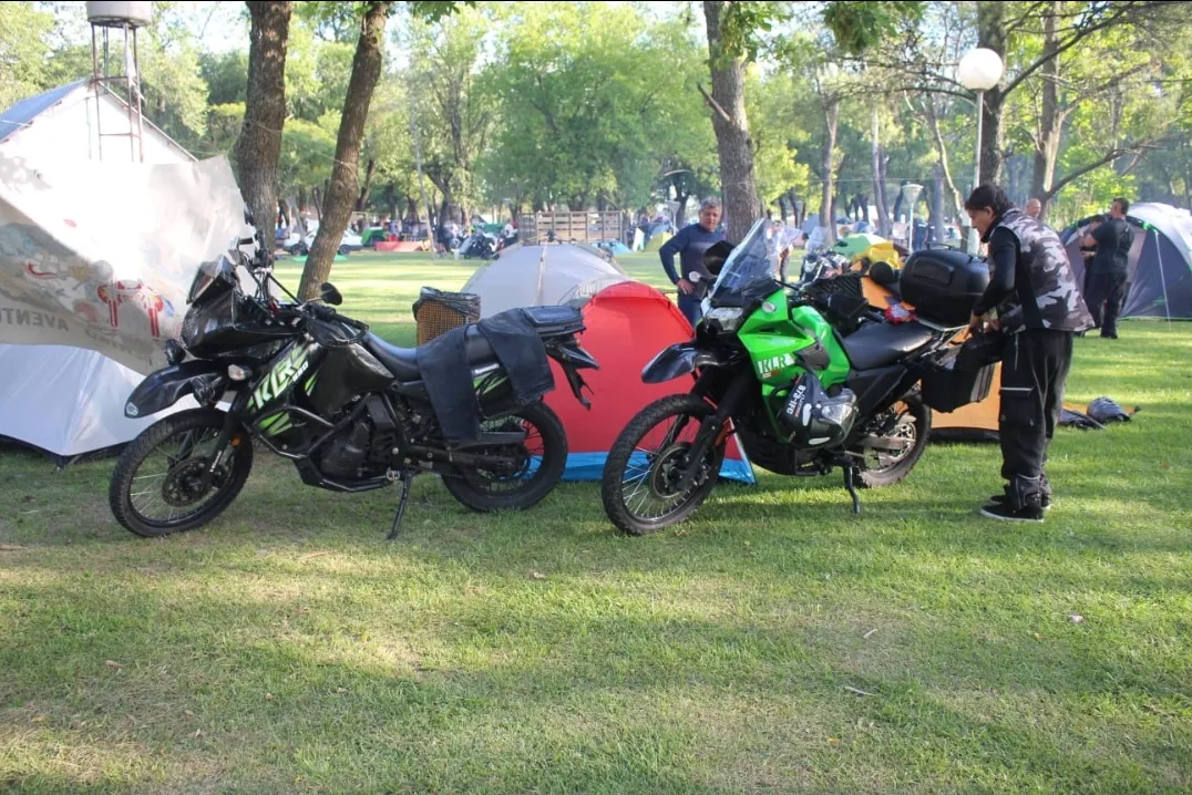 Screenshot_20240309-064131_WhatsApp