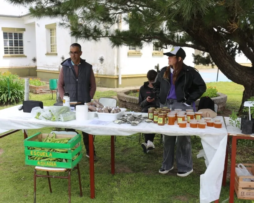 Screenshot_20251031_065000_WhatsApp