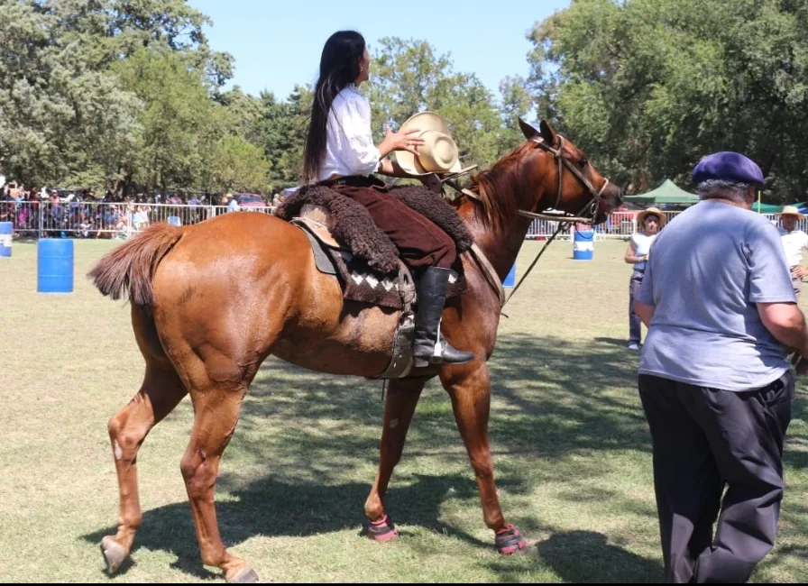 Screenshot_20250216-171319_WhatsApp