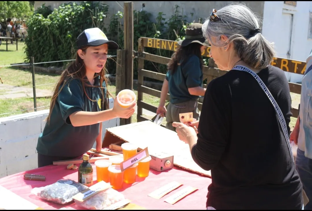 Screenshot_20241115-062712_WhatsApp