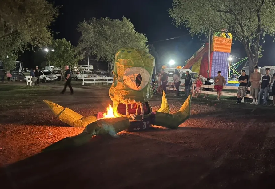 Screenshot_20260217_070111_WhatsApp