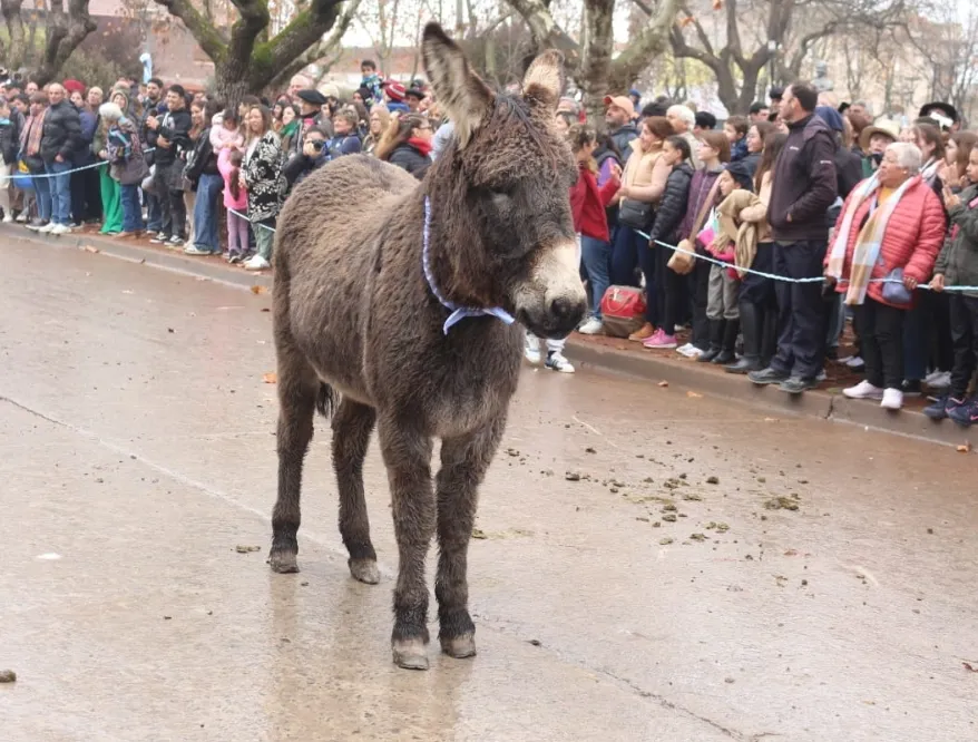 Screenshot_20250714-065149_WhatsApp