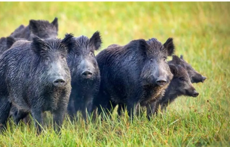 Screenshot_20250418-064539_Google