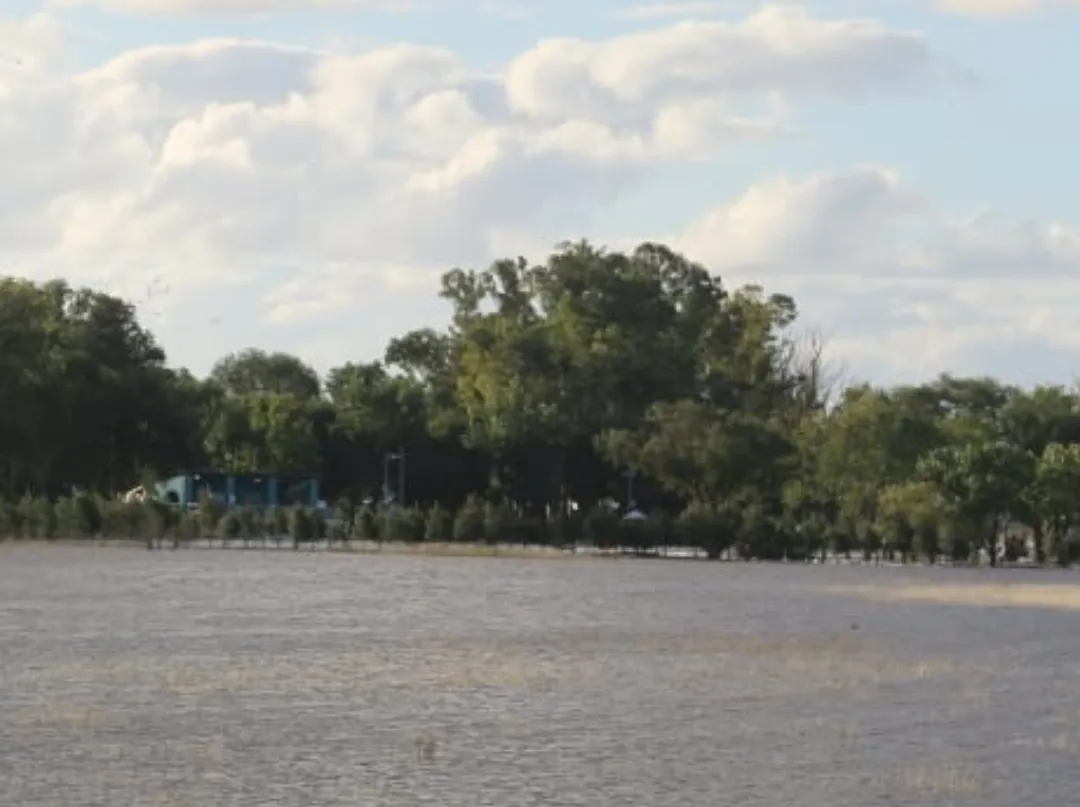 Screenshot_20250309-070815_WhatsApp