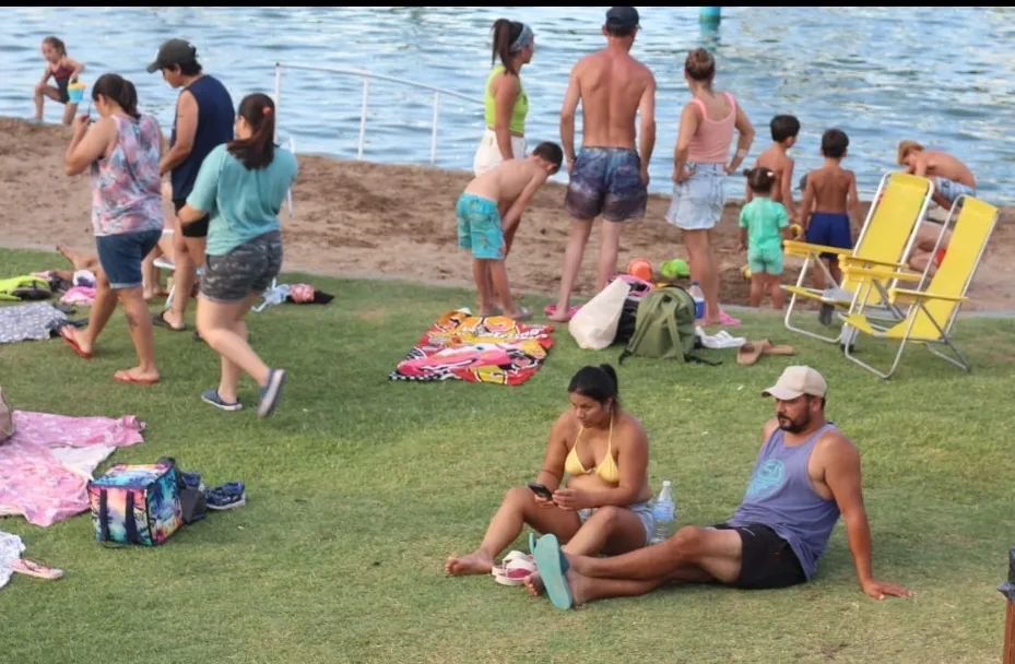 Screenshot_20250203-013639_WhatsApp