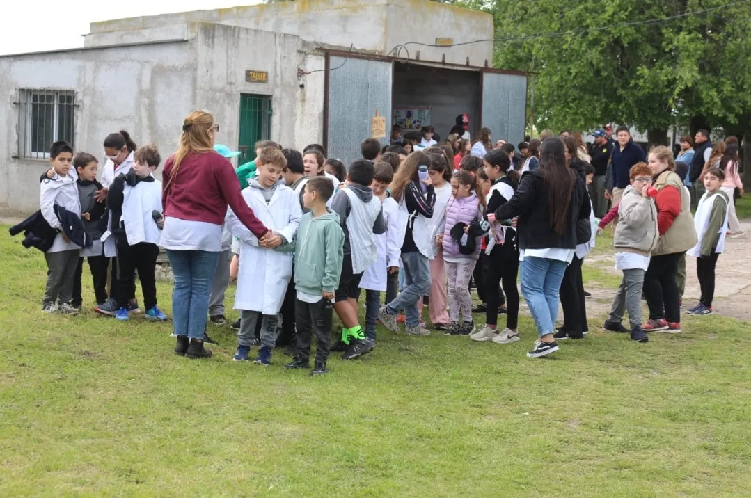 Screenshot_20251031_064510_WhatsApp