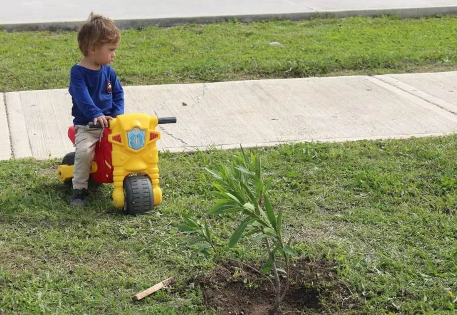 Screenshot_20251010-071757_WhatsApp