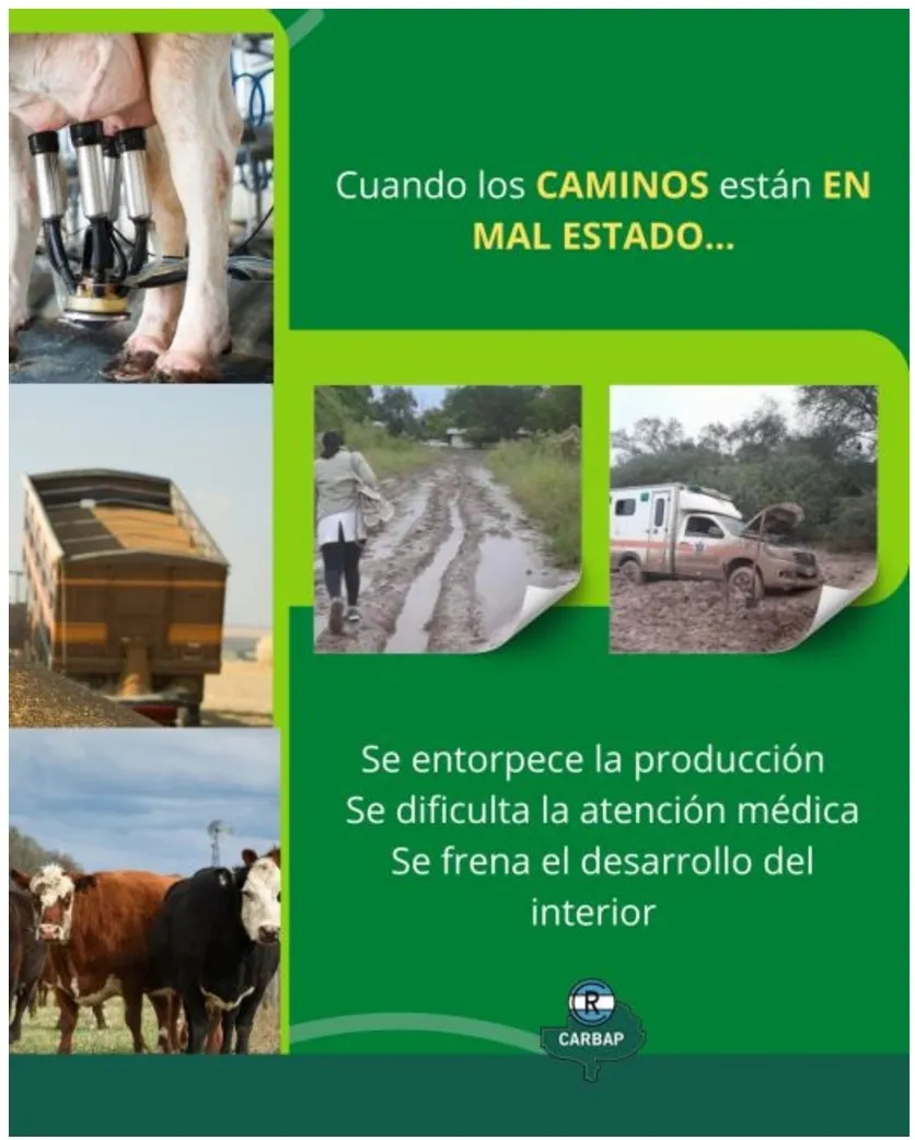 Screenshot_20250421-072746_M365 Copilot