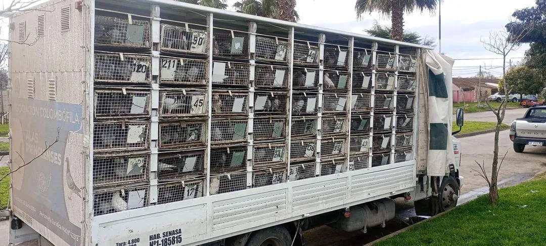 IMG_20240622_200445_755