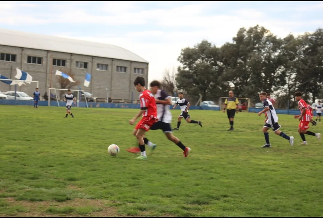 Screenshot_20250915-065647_WhatsApp