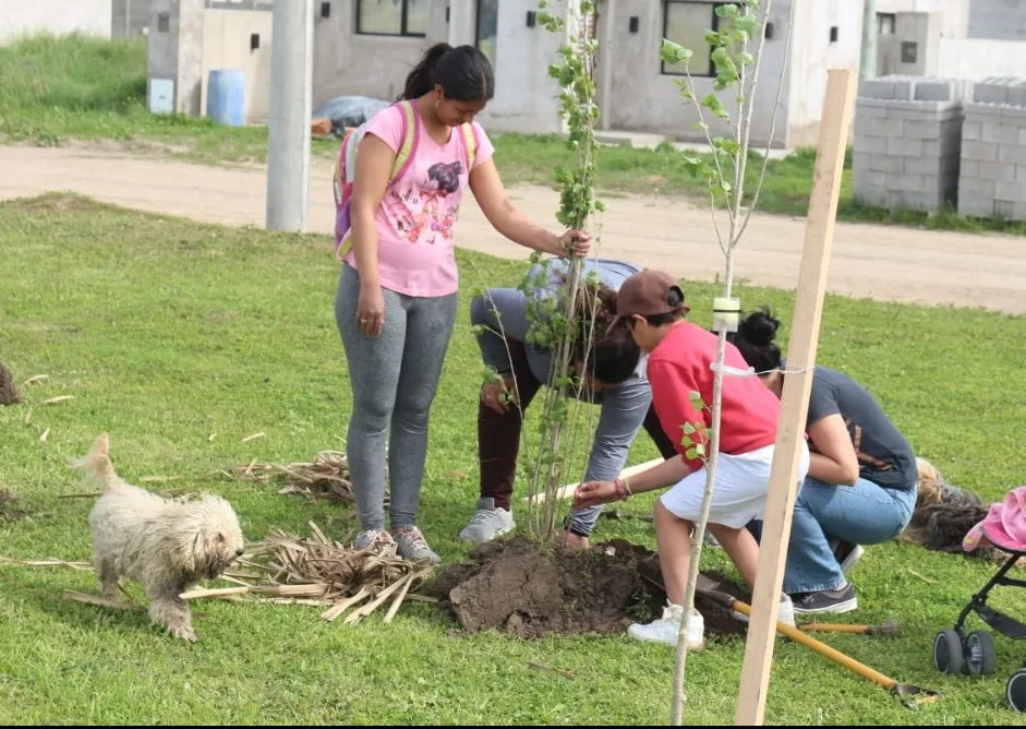 Screenshot_20251010-071455_WhatsApp