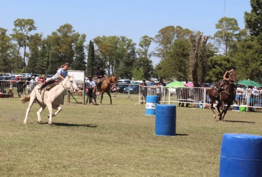 Screenshot_20250216-171515_WhatsApp