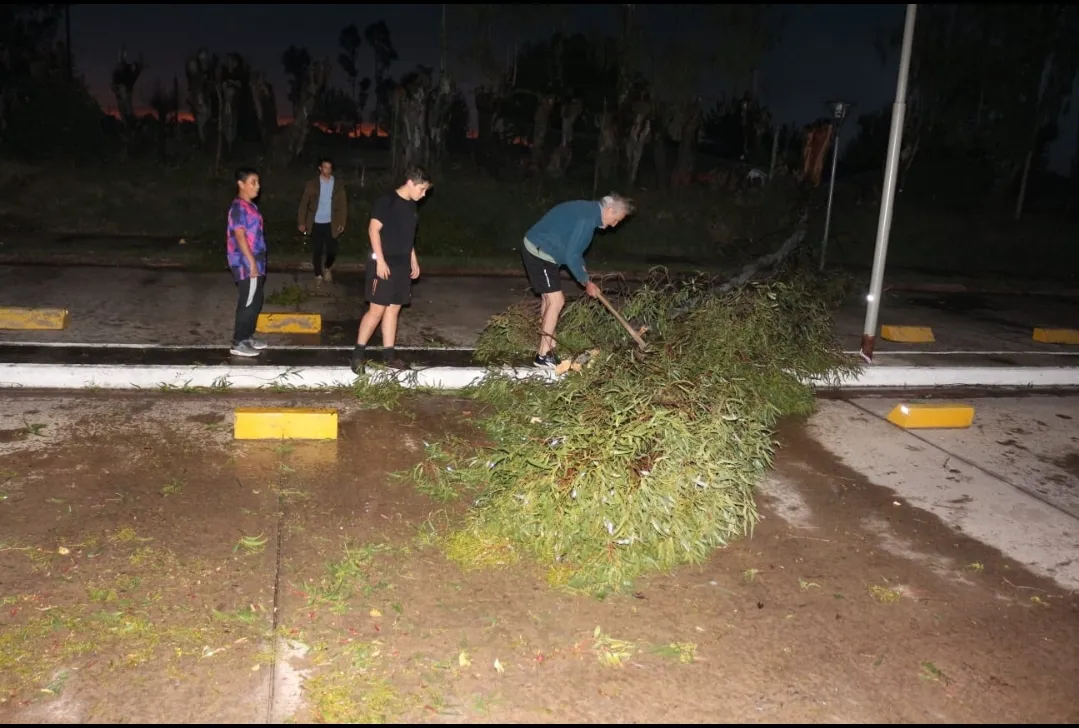 Screenshot_20251015-195757_WhatsApp