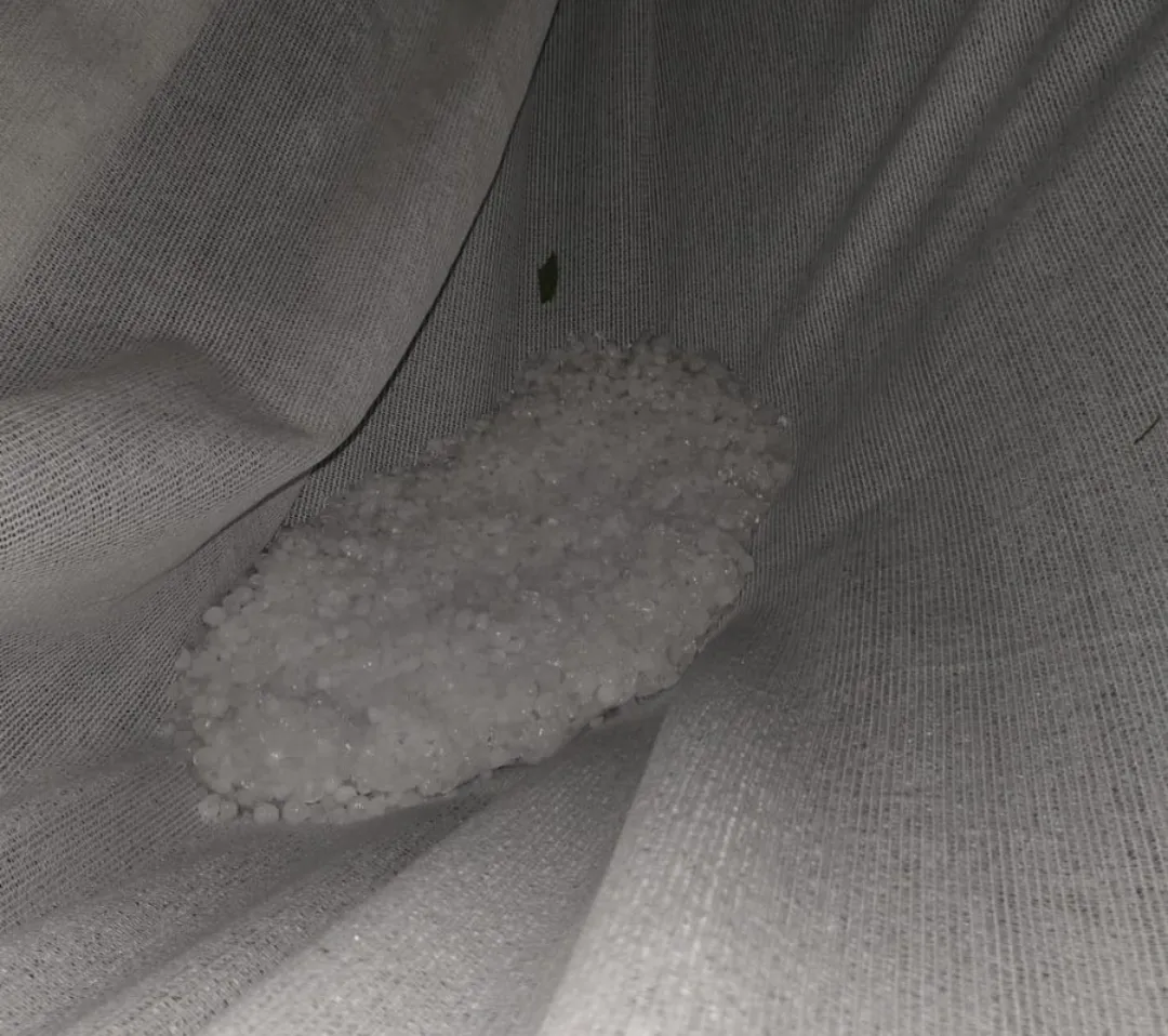 Screenshot_20250203-012138_WhatsApp