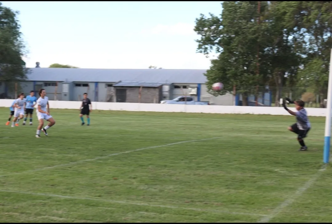 Screenshot_20241026-054842_WhatsApp