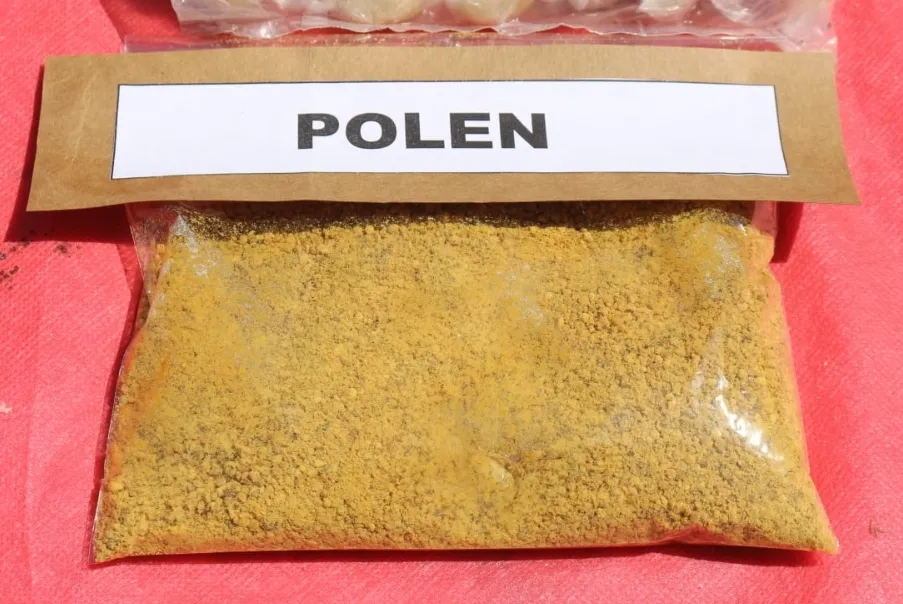 Screenshot_20241115-062701_WhatsApp