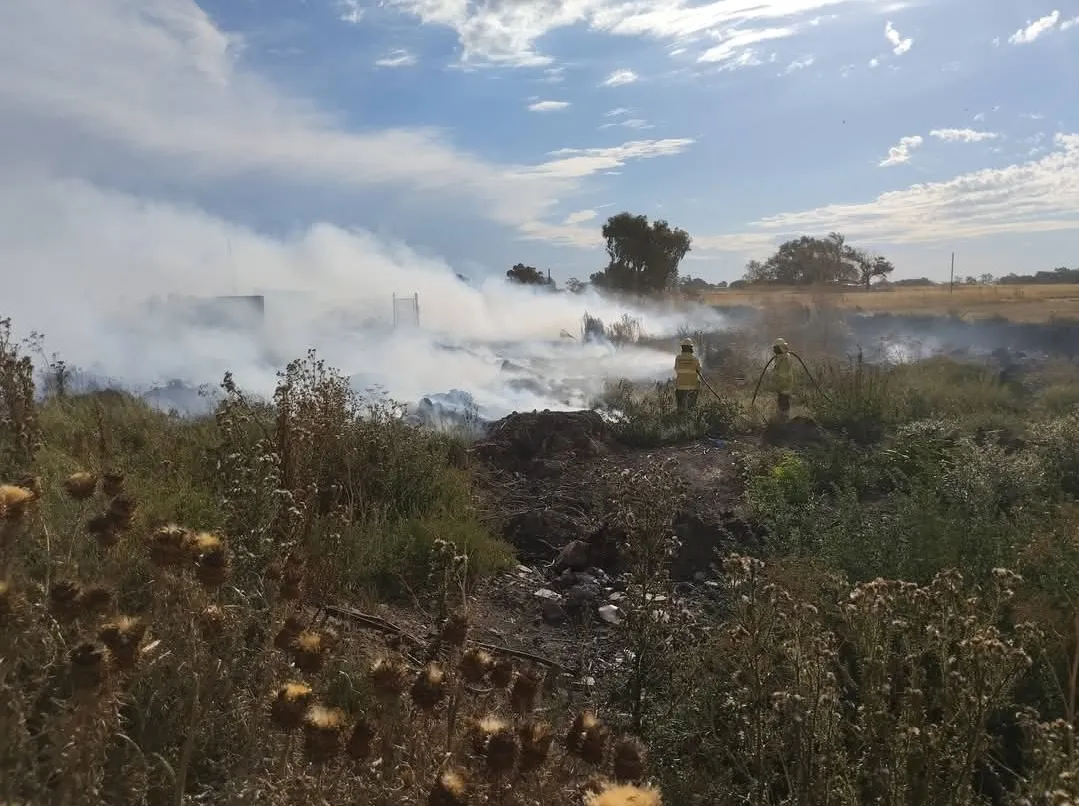 Screenshot_20260211_070706_Facebook