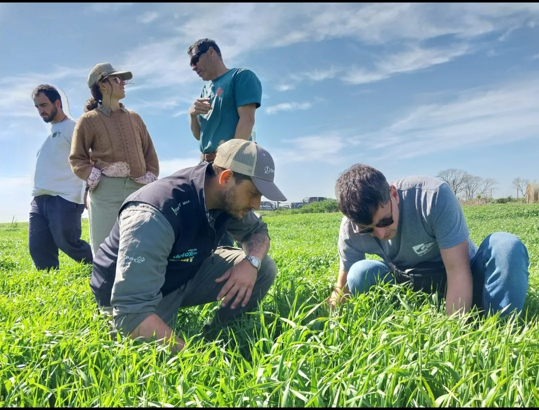 Screenshot_20251017-044624_WhatsApp