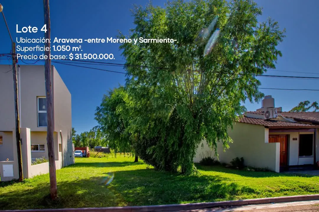 FB_IMG_1737876719894