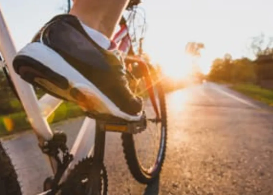 Screenshot_20250309-065545_Google