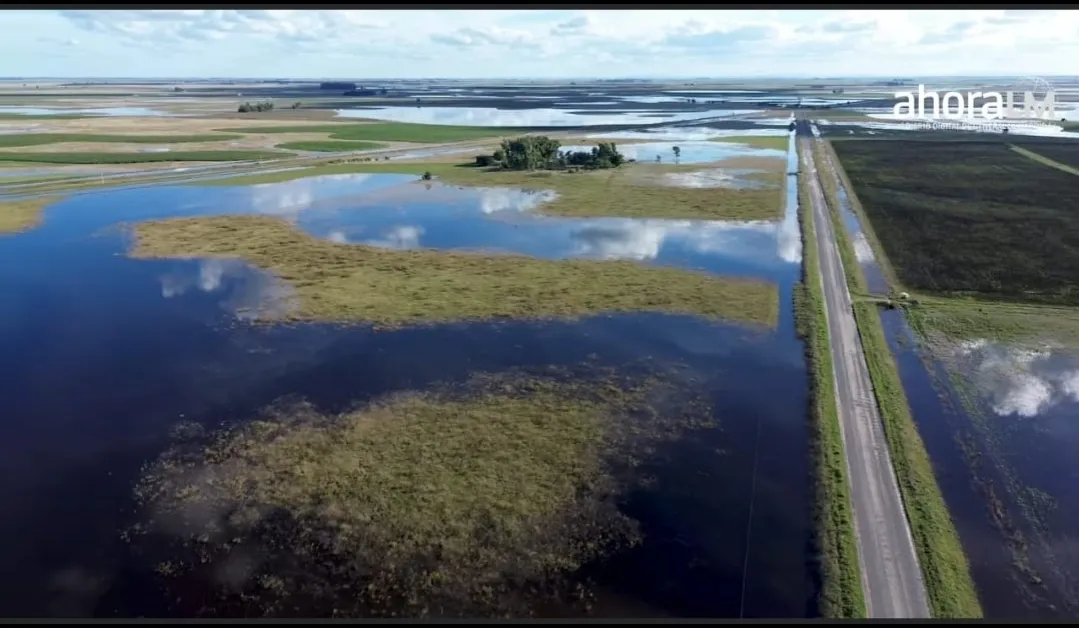 Screenshot_20250905-070619_WhatsApp