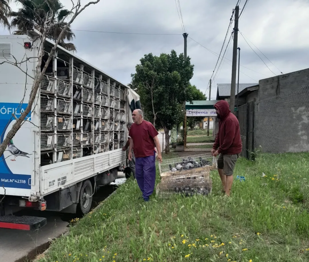 Screenshot_20241102-100243_WhatsApp