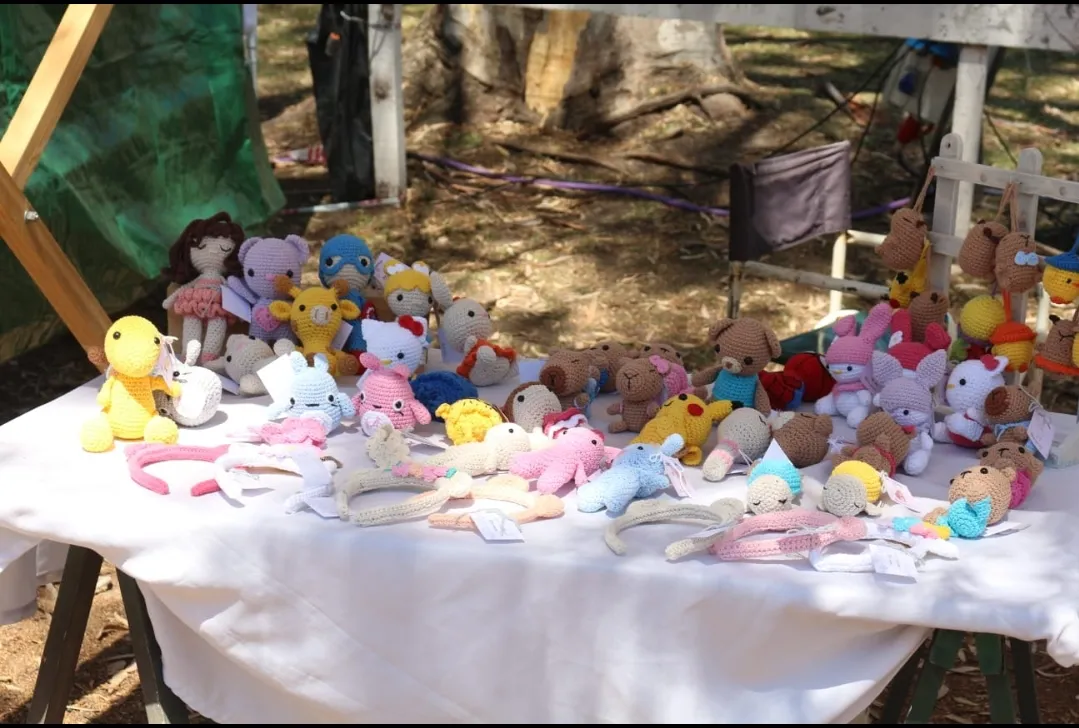 Screenshot_20250216-171117_WhatsApp