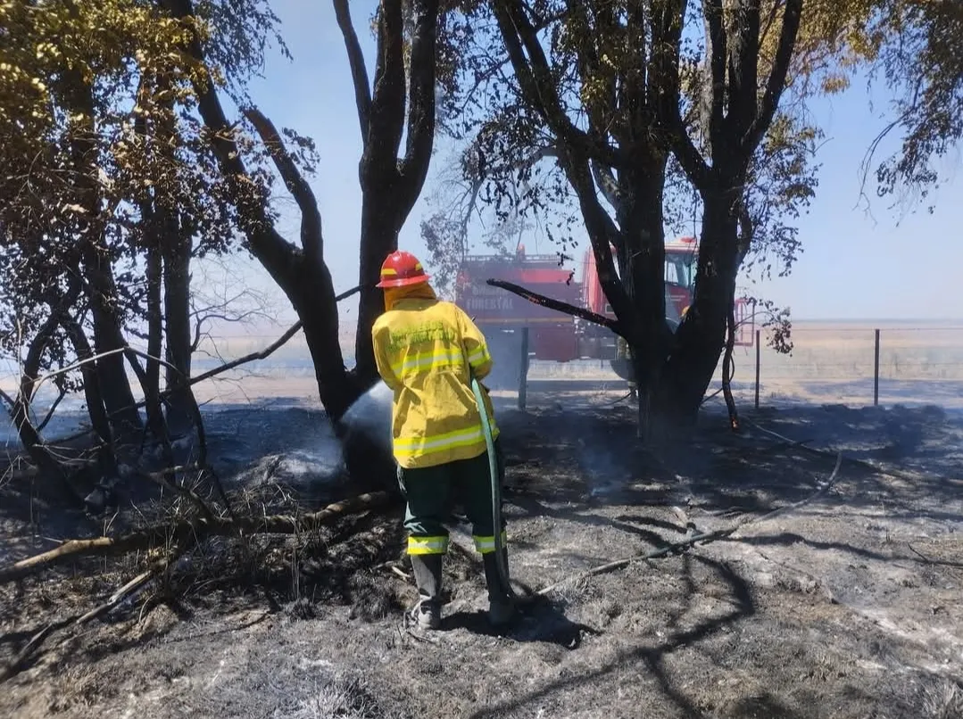 Screenshot_20260106_065129_Facebook