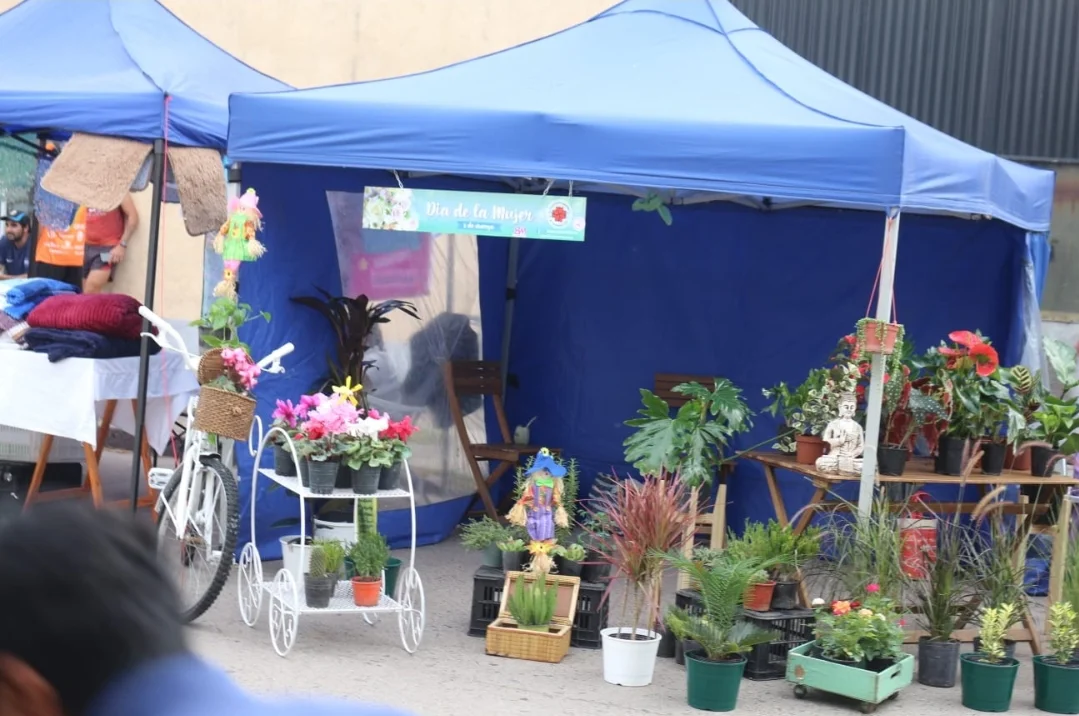 Screenshot_20260309_074023_WhatsApp