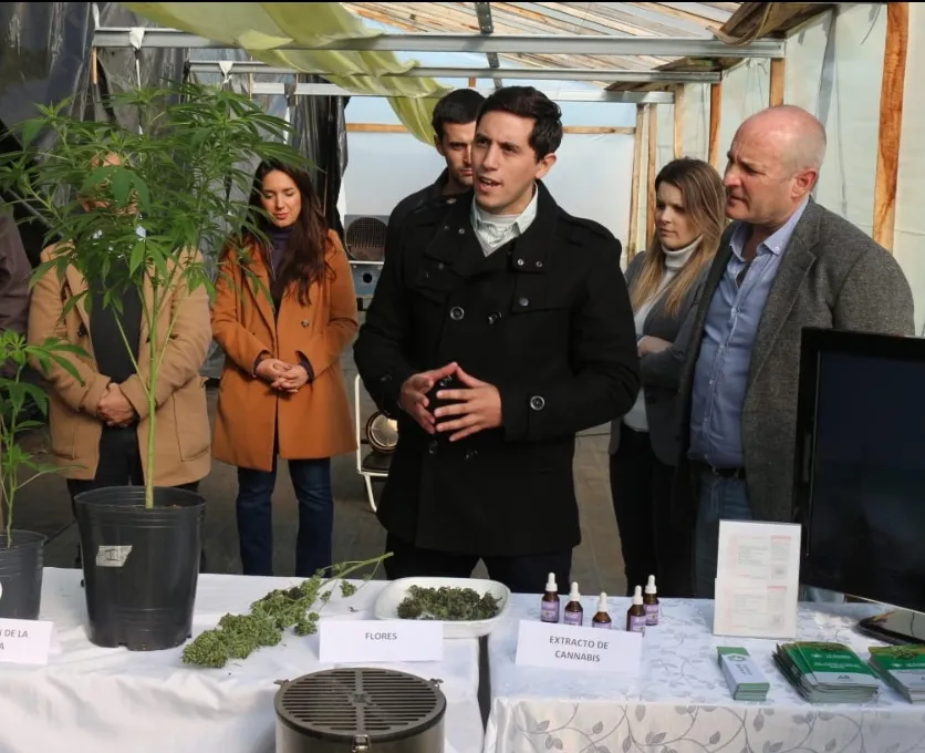 Screenshot_20240629-072620_WhatsApp