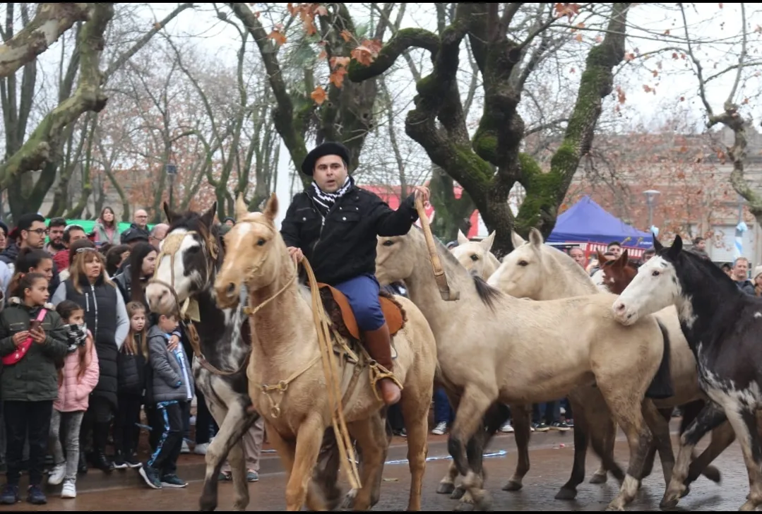 Screenshot_20250714-064509_WhatsApp