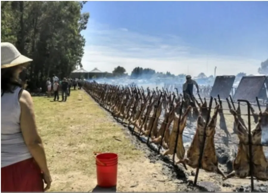 Screenshot_20251127_070347_M365 Copilot