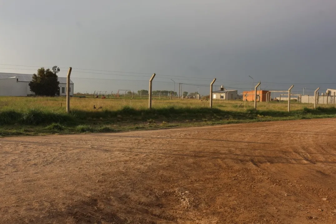 Screenshot_20241009-064156_WhatsApp