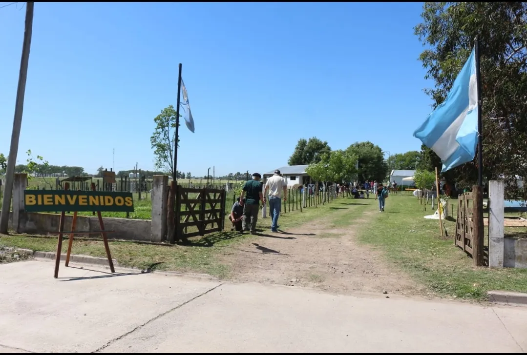 Screenshot_20241115-063433_WhatsApp