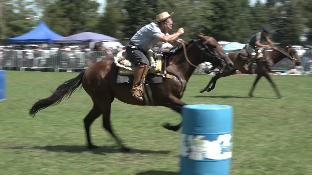 Clip0029.MXF.13_01_50_48.Imagen fija002