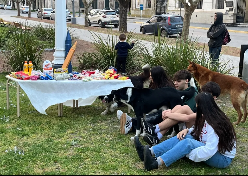 Screenshot_20250917-064325_WhatsApp