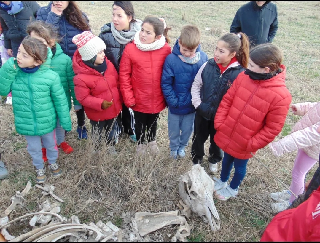 Screenshot_20250727-071302_WhatsApp