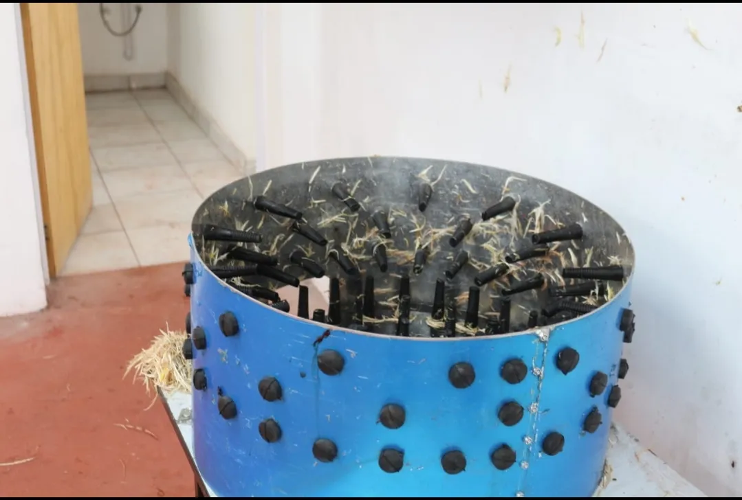 Screenshot_20250822-070303_WhatsApp