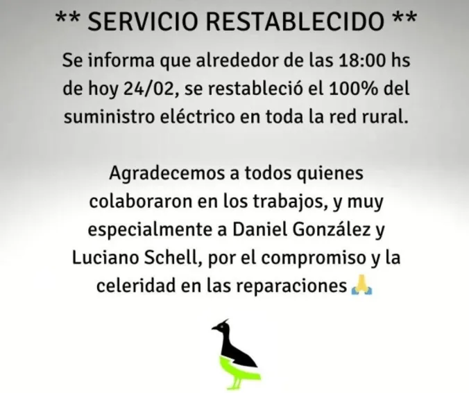 Screenshot_20250225-014030_M365 Copilot