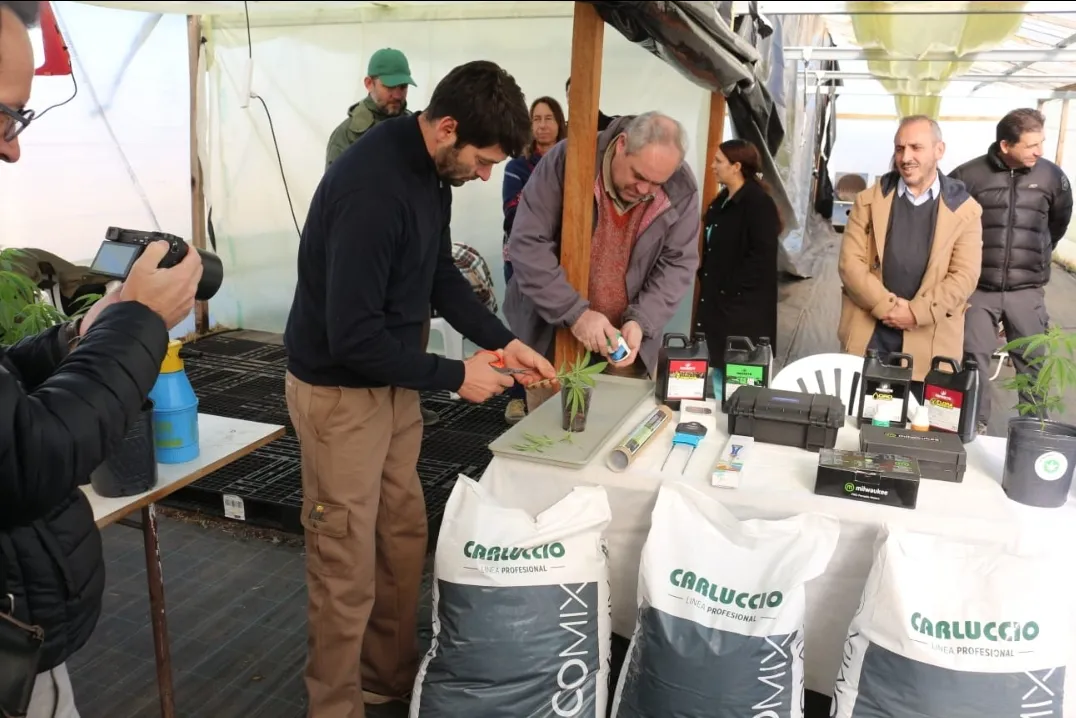 Screenshot_20240629-072548_WhatsApp