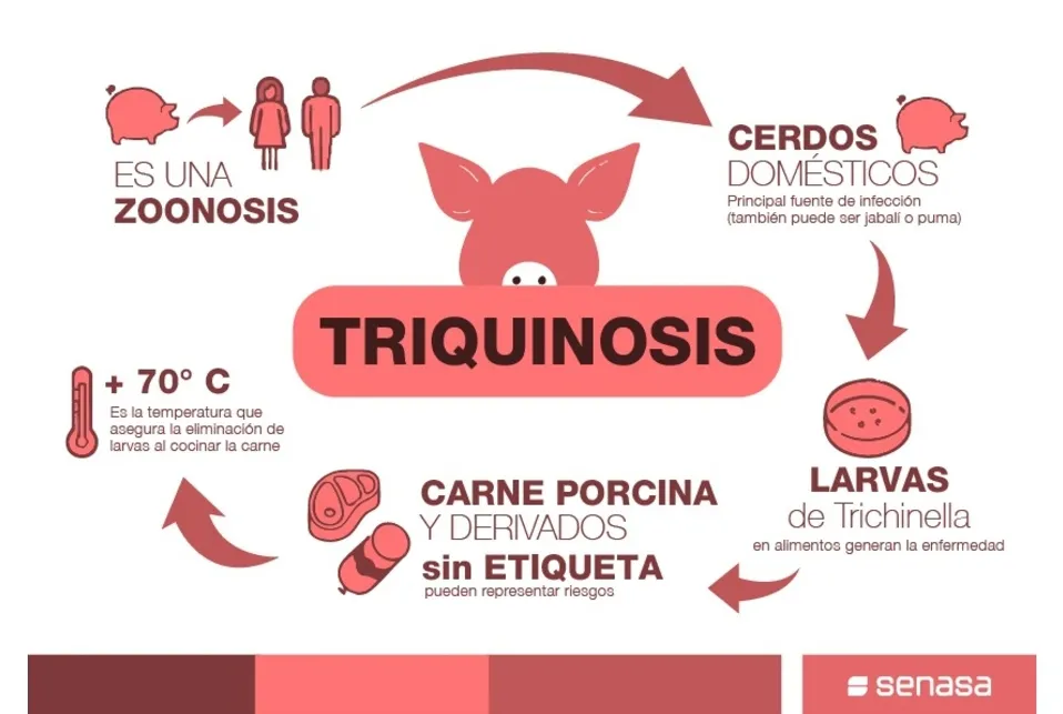 Screenshot_20250730-064722_M365 Copilot