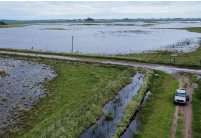 Screenshot_20250906-070904_Google