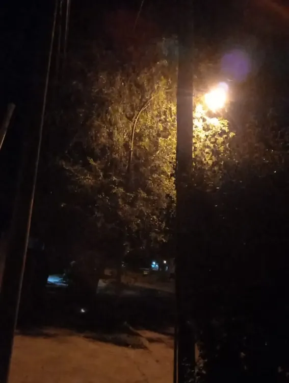 Screenshot_20240427-050808_WhatsApp