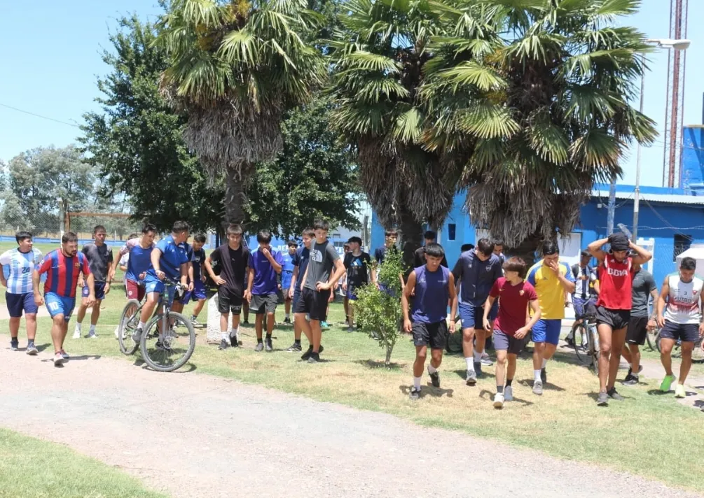 Screenshot_20260108_070710_WhatsApp