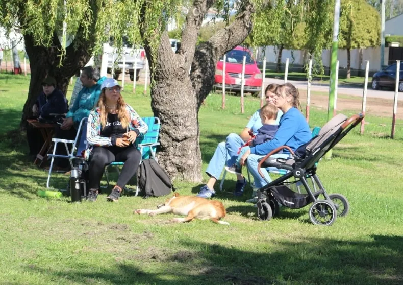 Screenshot_20250330-063305_WhatsApp