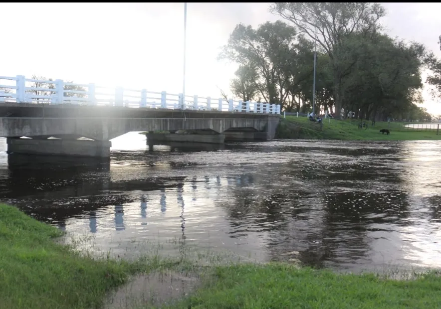 Screenshot_20250309-070715_WhatsApp