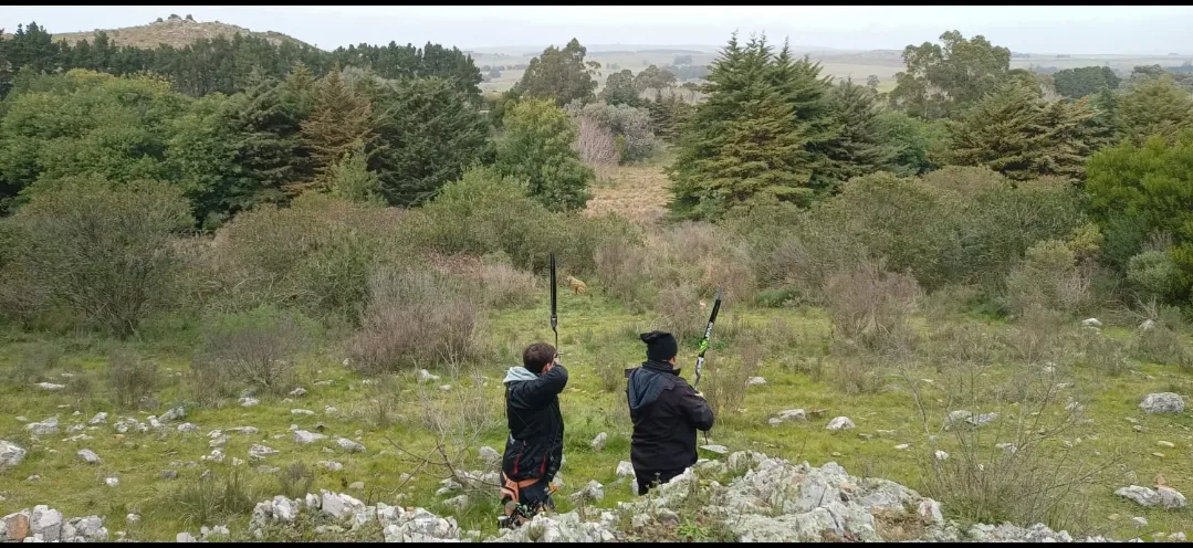 Screenshot_20250728-063619_WhatsApp